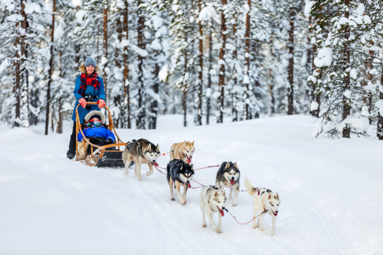 Husky safari je unikátny zážitok na celý život.